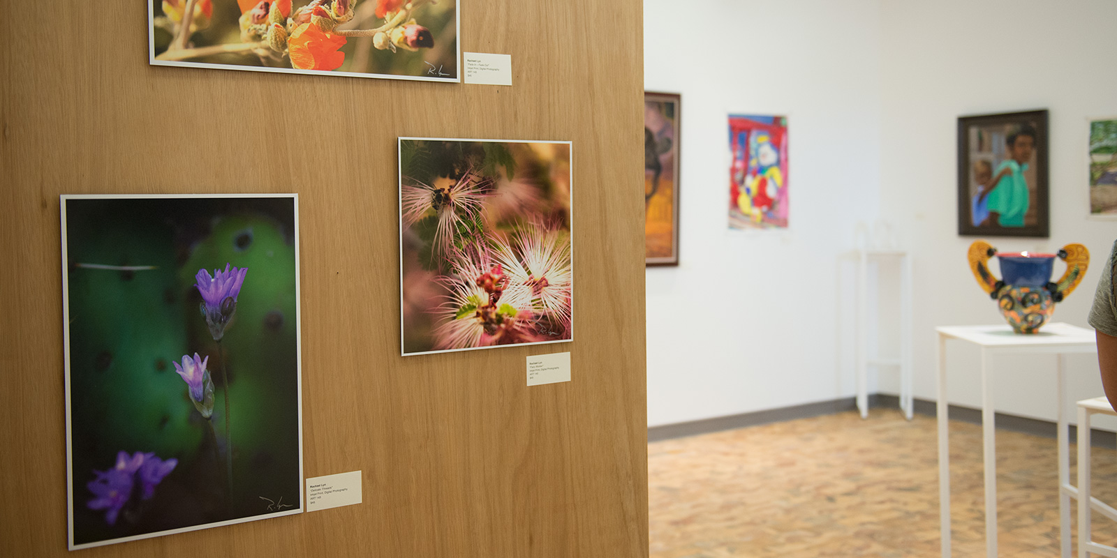 Closeup photos of flowers on display.