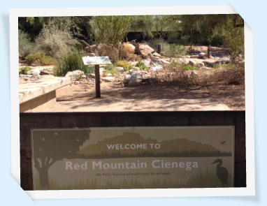 The Red Mountain Campus Cienega