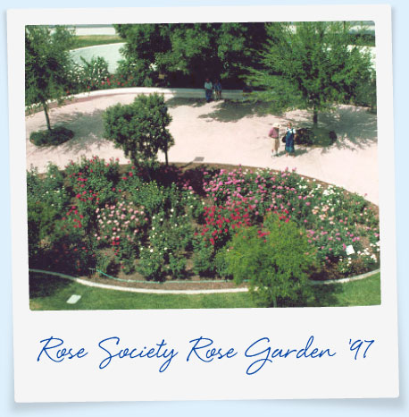 Mesa-East Valley Rose Society Rose Garden