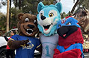 Three college mascots standing: a bear, coyote and Thunderbird 