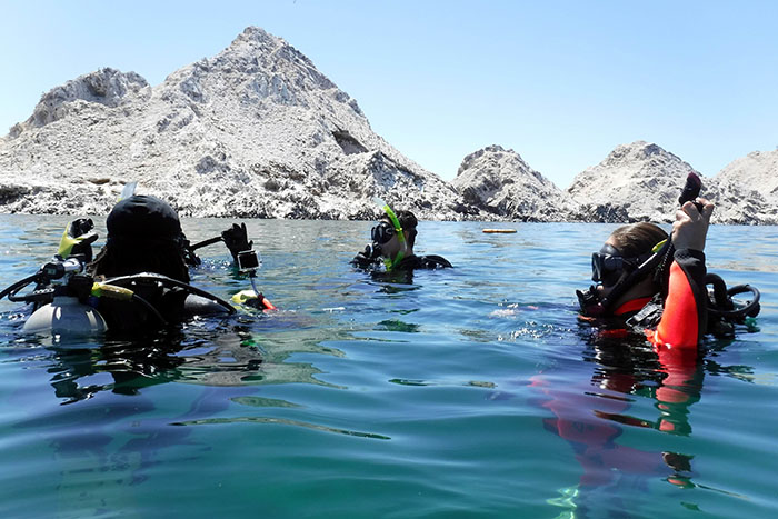 Three scuba divers float in the water at Puerto Peñasco