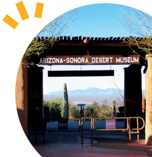 Arizona-Sonora Desert Museum