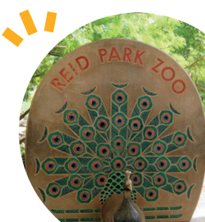 Reid Park Zoo