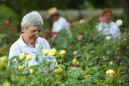 Public Rose Garden