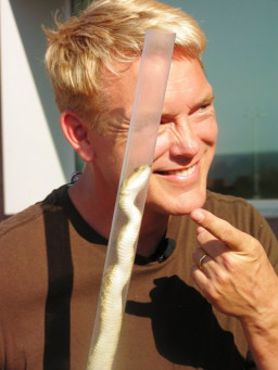 Cory McCloskey carefully wrangles a snake.