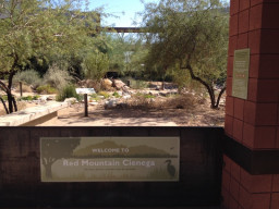 The MCC Red Mountain Campus is recognized by the National Wildlife Federation (NWF) with a Certified Wildlife Habitat designation as part of its Garden for Wildlife program in March 2016.