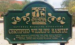 The campus was named a Certified Wildlife Habitat in 2015. This certification also makes Red Mountain a part of the Million Pollinator Garden Challenge, a national effort to restore critical habitat for pollinators.